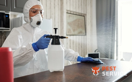 Дезинфекция в Верхней Пышме