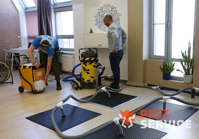 Профессиональная сушка после потопа в Верхней Пышме от 3000 руб. Быстро устраняем влагу, предотвращаем плесень и повреждения. Современное оборудование и опытные специалисты. Безопасно и эффективно.